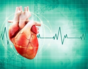 Thế nào là nhịp tim chậm và cách điều trị như thế nào